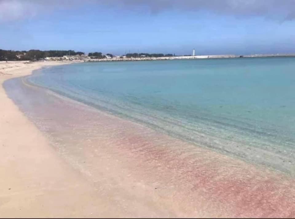 Casa Aloha San Vito Lo Capo